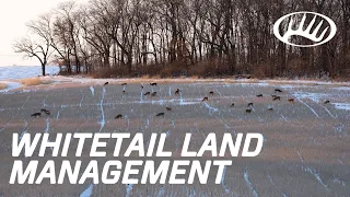 Whitetail Land Management 101 with Ben Harshyne from Whitetail Properties in Southeast Iowa