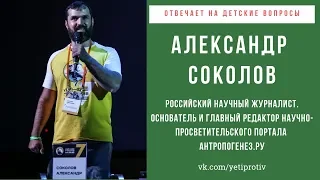 Йети против мифов - Александр Соколов