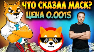 Создатель Shiba Inu Сделал Заявление - Что Сказал Маск Про SHIB?