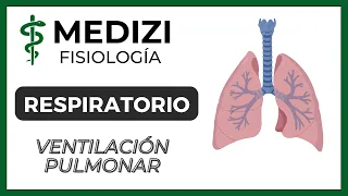 Clase 37 Fisiología Respiratoria - Ventilación Pulmonar  (IG:@doctor.paiva)