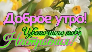 Доброго утра! Хорошего дня! Цветочного настроения! Красивая музыкальная открытка С добрым утром!