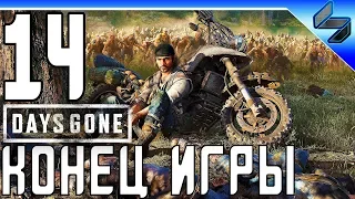 Конец Игры DAYS GONE (Жизнь После) Прохождение ➤ Часть 14 На Русском ➤ PS4 Pro [1080p 60FPS]