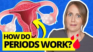 Everything You Don't Know About the Menstrual Cycle