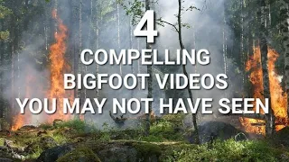 4 COMPELLING BIGFOOT VIDEOS YOU MAY NOT HAVE SEEN BEFORE