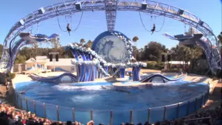 Blue Horizons - The Dolphins Show at Sea World [Complete]