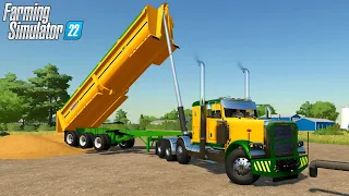 Farming Simulator 22 - PETERBILT 389 Semi Truck Unloads Wheat