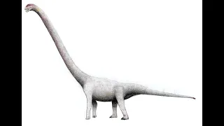 Omeisaurus Explained