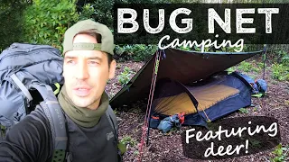 STEALTH CAMPING In A Bug Net I With DEER! ☺️I Wild Camping UK