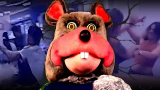 The Drunken World of Chuck E. Cheese Brawls