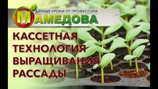 КАССЕТНАЯ ТЕХНОЛОГИЯ выращивания рассады 🔥