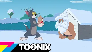 Tom & Jerry | Barnevakten Tom | Toonix Norge 🇳🇴