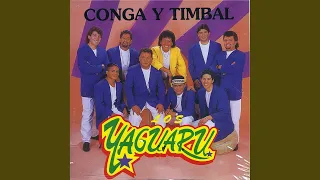 Conga Y Timbal