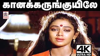 Kaana Karunguyile Song கான‌ கருங்குயிலே காதல் ஓர் பாவமடி இசைஞானி இசையில் மனோ, சித்ரா பாடிய பாடல்