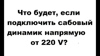 Что будет, если подключить сабовый динамик напрямую от 220 V?