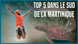 TOP 5 dans le SUD de la Martinique / Je nage avec les tortues EP⎮2 !