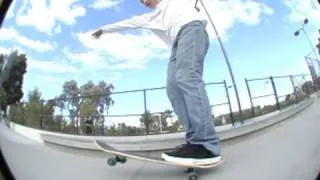 Skateboarding on Mushrooms