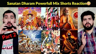 Sanatan Dharam Mix Shorts Part 2 REACTION || Pakistani Reaction