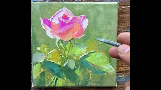 Rose 10х10 oil painting Vugar Mamedov