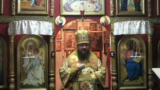 Слово митрополита Черкасского и Каневского Феодосия в день памяти апостола Луки