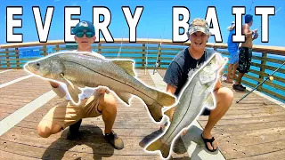 EVERY BAIT Got Eaten! Epic Pier Fishing