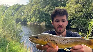 Sea and Brown trout fishing (4K) - Micro CRANKBAITS