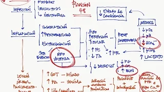 Pancreatitis, parte 2: Interpretación de la analítica y criterios de gravedad