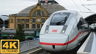Trains Halle (Saale) Hbf ● 25.07.2023