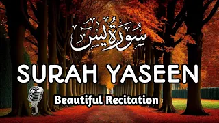 Most Beautiful Recitation of The World Surah Yaseen (Yasin)  | Surah Yaseen Best  Recitation