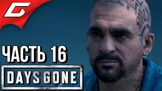 DAYS GONE (Жизнь После) ➤ Прохождение #16 ➤ БАЙК БУХАРЯ