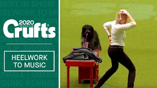 International Freestyle Heelwork To Music - Part 3 | Crufts 2020