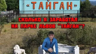 ВАЖНОЕ ВИДЕО! СКОЛЬКО Я ЗАРАБОТАЛ НА ПАРКЕ ЛЬВОВ "ТАЙГАН"?