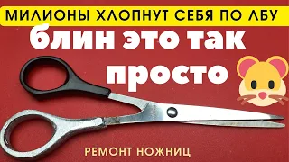 Мир замер в ступоре  Как мы сами не додумались Это так просто