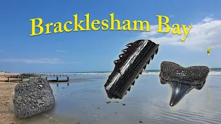 Awesome Fossil Hunt at Bracklesham Bay | Shark Teeth + More!