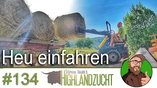 FarmVlog #134: Heu einfahren mit dem TUR 502 | Jäger des verlorenen Kalbes