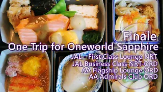 Japan Airlines JL NRT-ORD Business Class | One Trip for Oneworld Sapphire Part 6 | 日航JGC修行