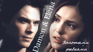 Damon and Elena II Золотыми рыбками