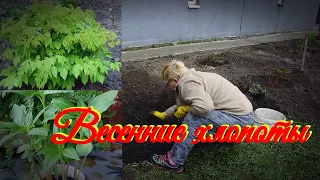 Чуть не высадила растюшки