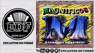 Banda Magníficos - Volume 11