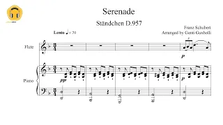 Ständchen D.957 (Serenade) by Franz Schubert (Flute Solo with Piano Accompaniment/Sheets)