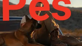 🐕 Pes CZDABING 2022 celý film