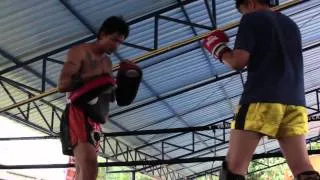 Training at Tiger Muay Thai Chiang Mai