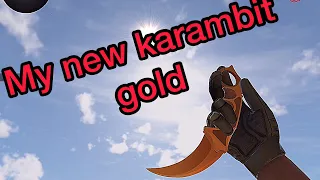 My new karambit gold | so2