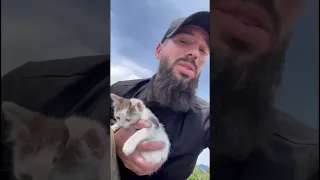 Спасение котиков в Херсоне после наводнения из-за Каховской ГЄС