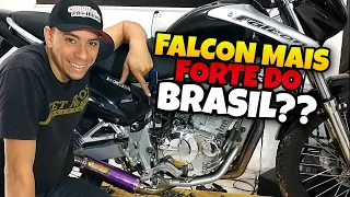 FALCON PREPARADA / SE LIGA NO PROJETO E COMPARAÇÕES