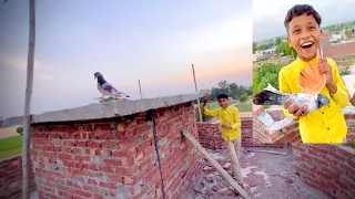 2 Aur Kabootar Pakar Liye 😃 4 Ho Gaye 😍 | Dawood Sabir Vlogs
