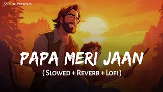 Papa Meri Jaan - Lofi Mix | Slowed + Reverb | Sonu Nigam | Animal | SSR Lofi