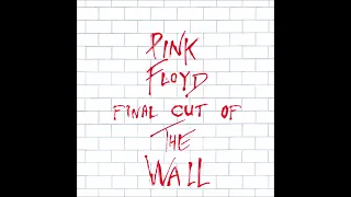 Pink Floyd Final Cut Of The Wall: What Shall We Do Now?