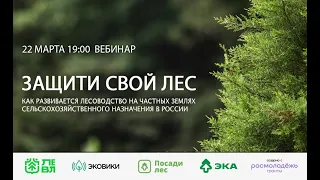 Вебинар "Защити свой лес"