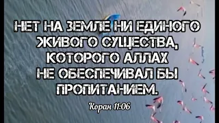 Постранствуйте по земле и посмотрите, каким был конец тех, которые сочли ложью истину». {Коран 6:11}