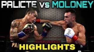 Palicte vs Moloney (highlights)